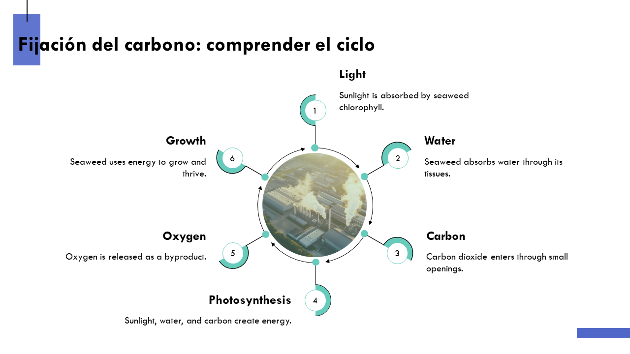 Fijacion del comprender el ciclo
