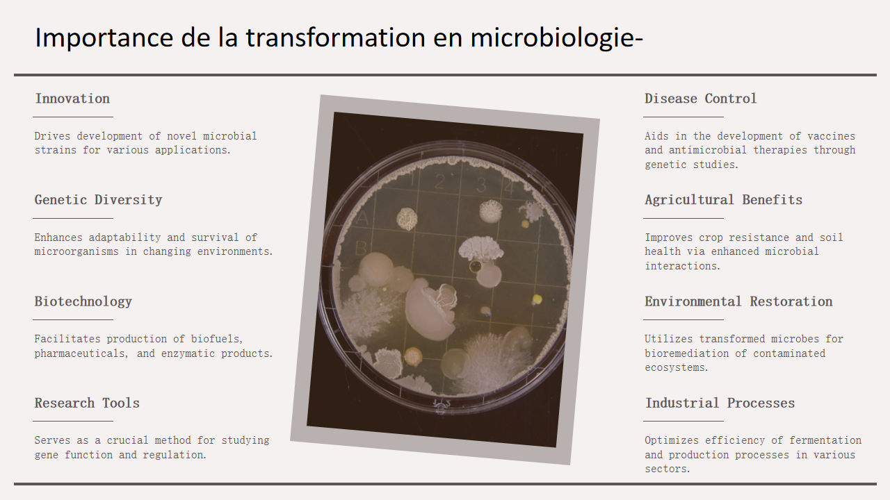 Importance de la transformation en microbiologie Importance de la transformation en microbiologie