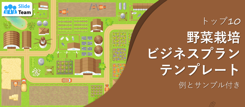 野菜栽培事業計画テンプレート トップ10（事例とサンプル付き）