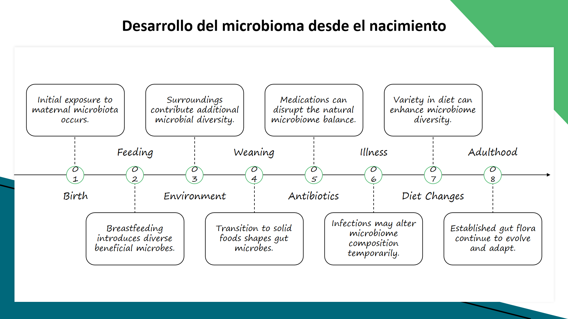 Desarrollo del microbioma desde el nacimiento