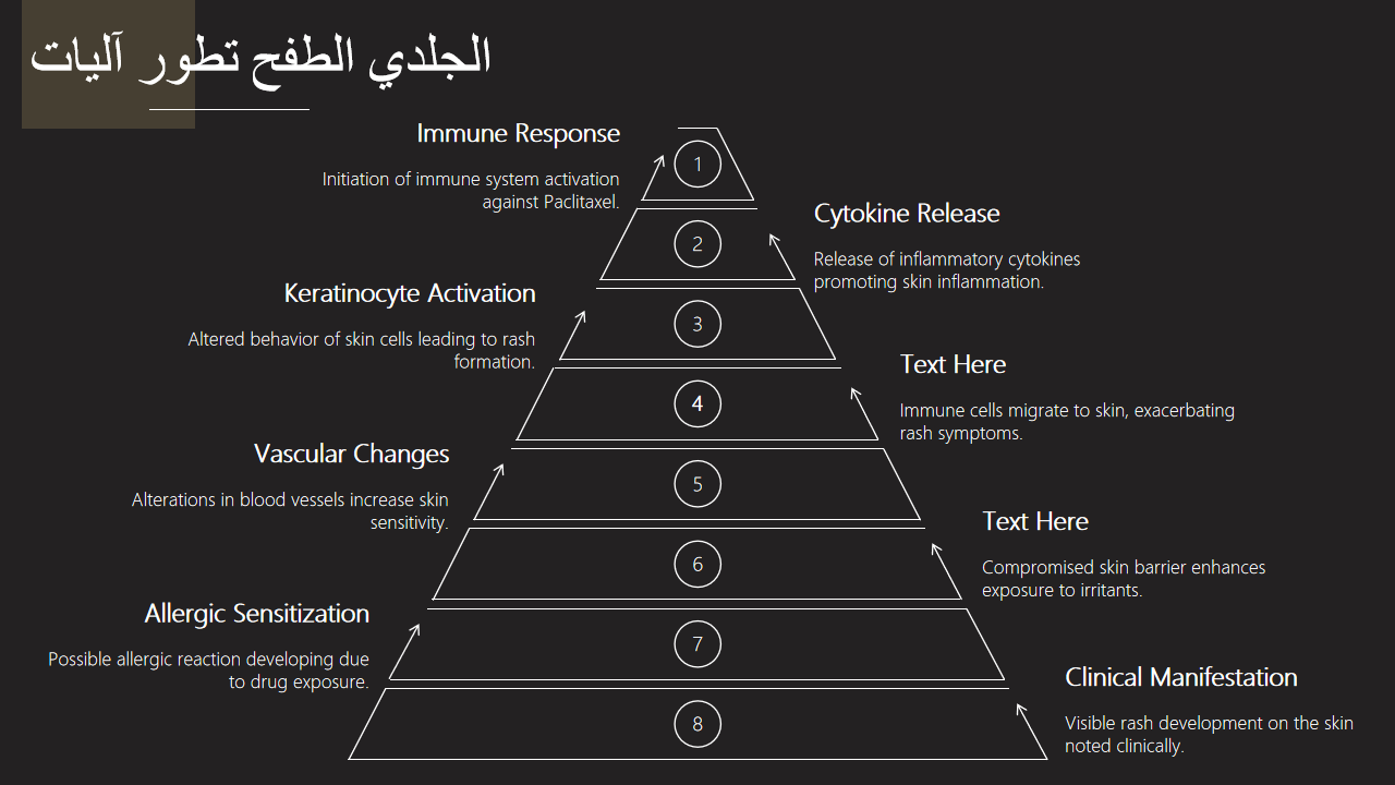 آليات تطور الطفح الجلدي آليات تطور الطفح الجلدي