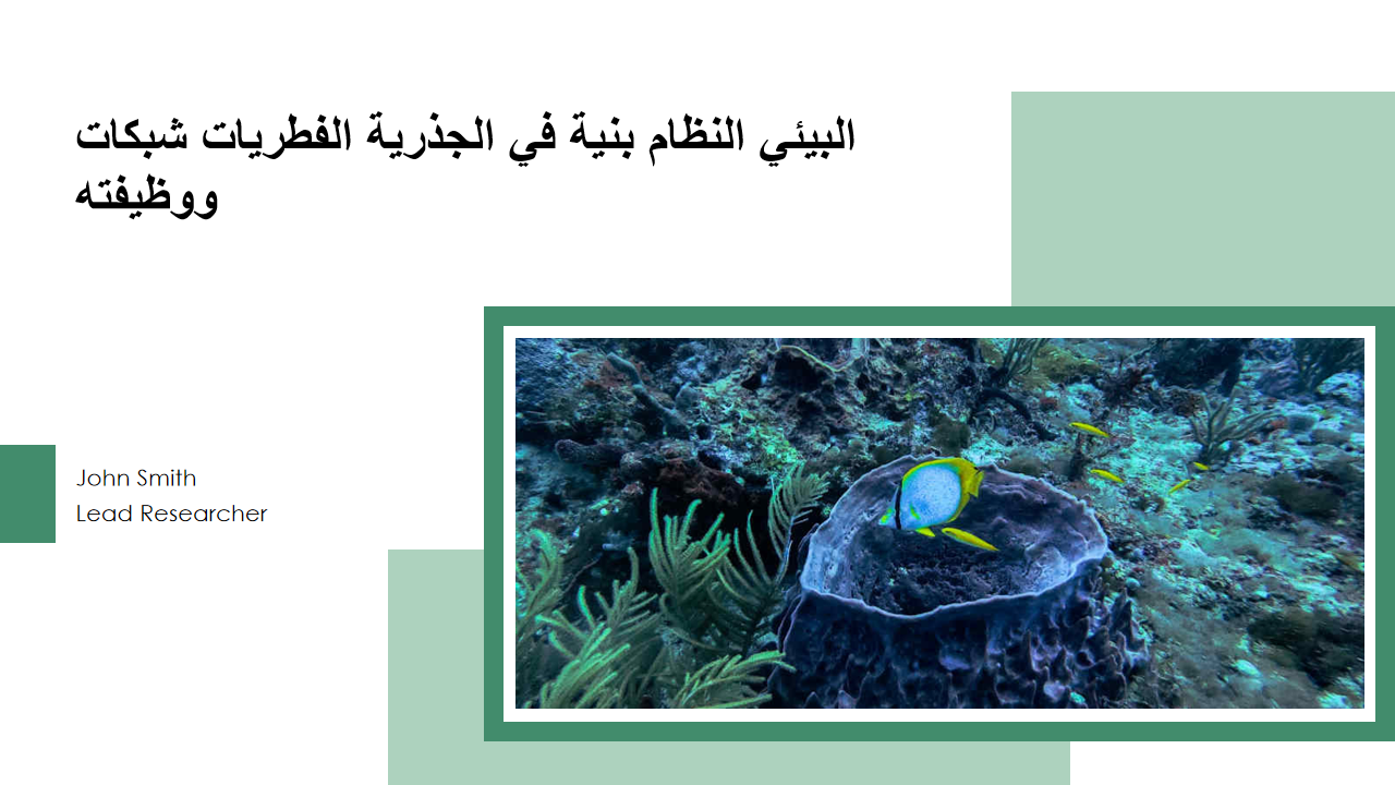 شبكات الفطريات الجذرية في بنية النظام البيئي ووظيفته 1
