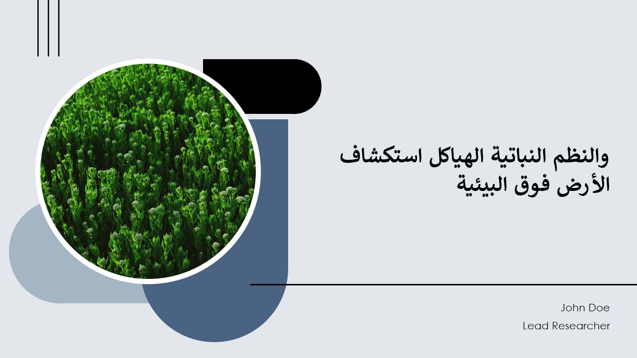 استكشاف الهياكل النباتية والنظم البيئية فوق الأرض 1