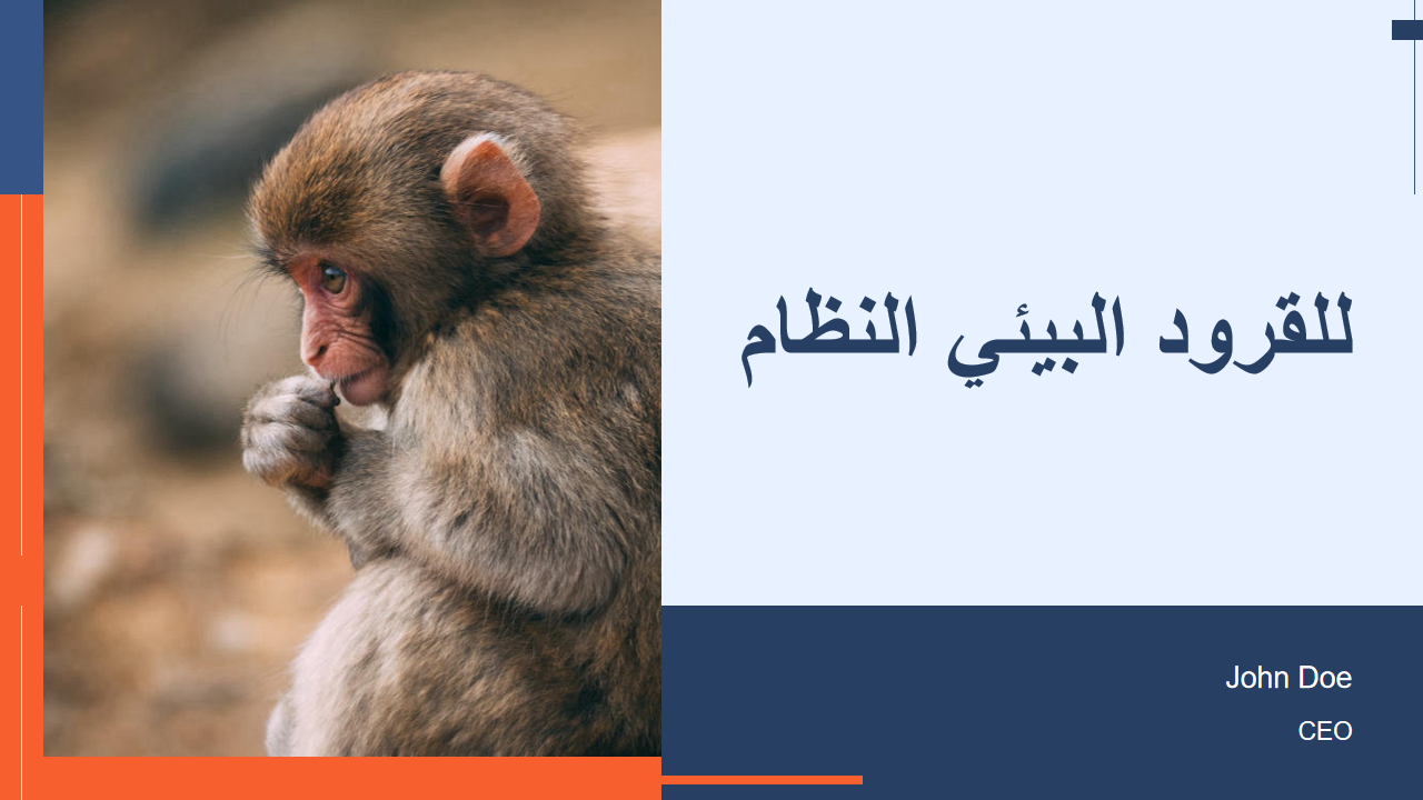 النظام البيئي للقرود 1