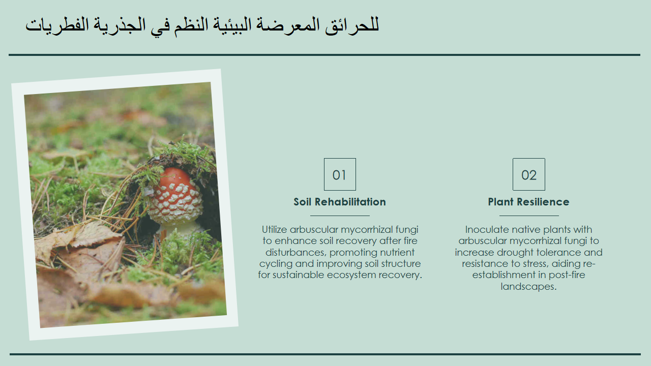 الفطريات الجذرية في النظم البيئية المعرضة للحرائق 1