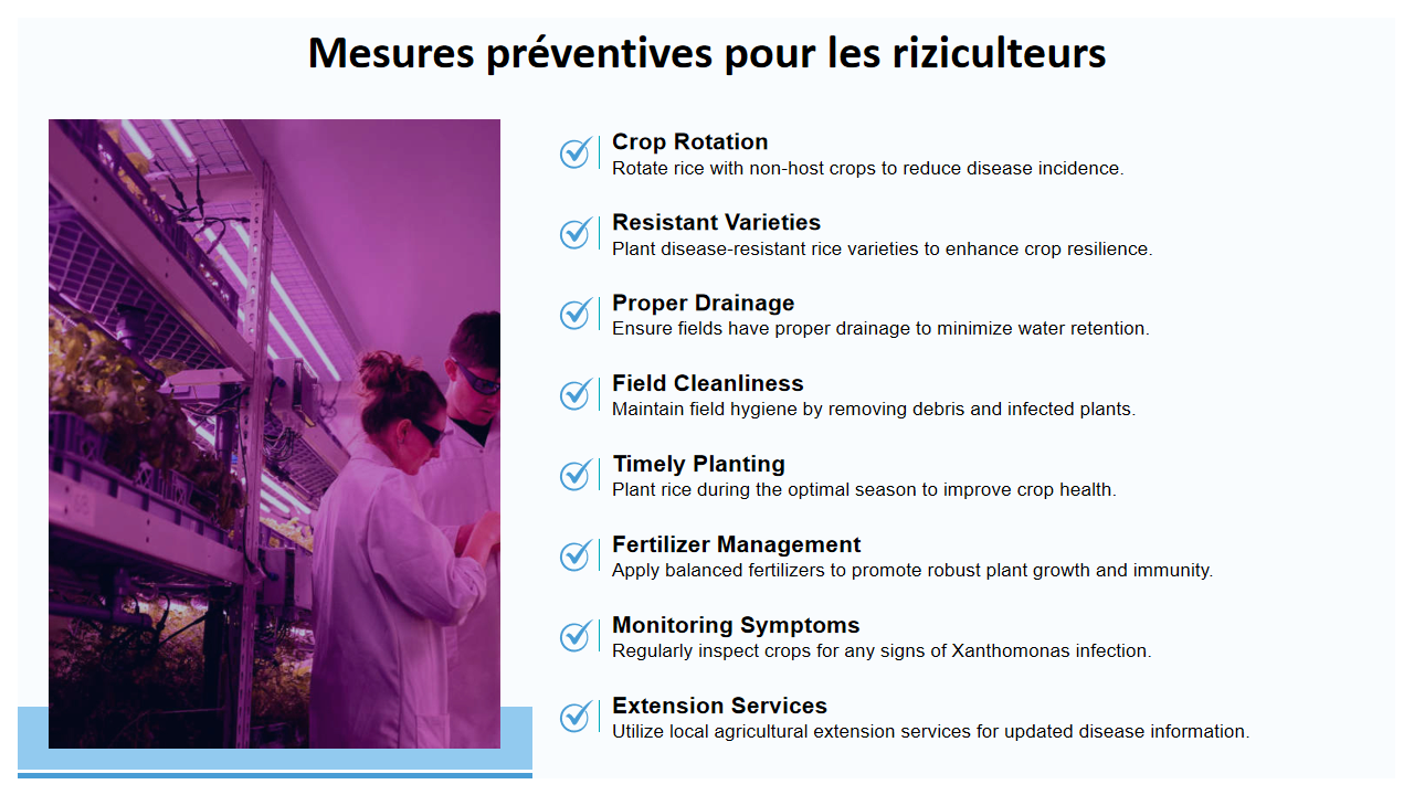 Mesures preventives pour les riziculteurs