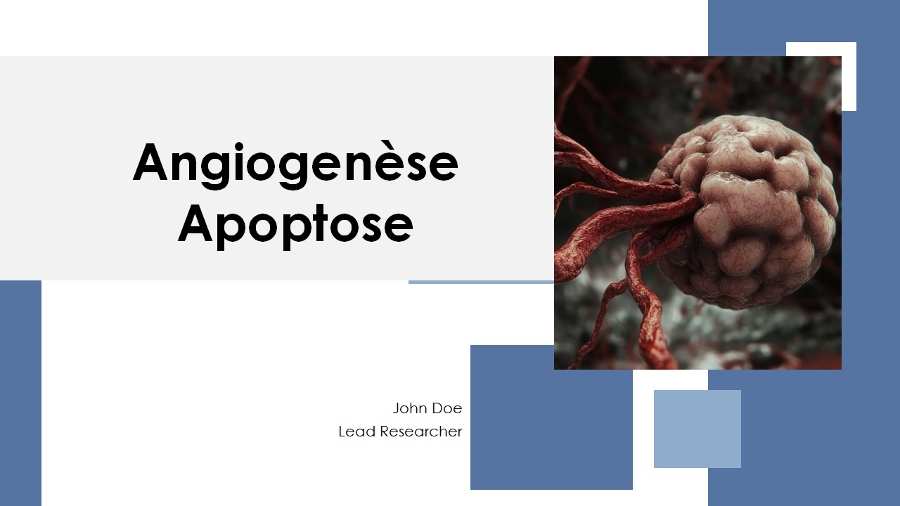 Angiogenese Apoptose 1 Angiogenese Apoptose 1