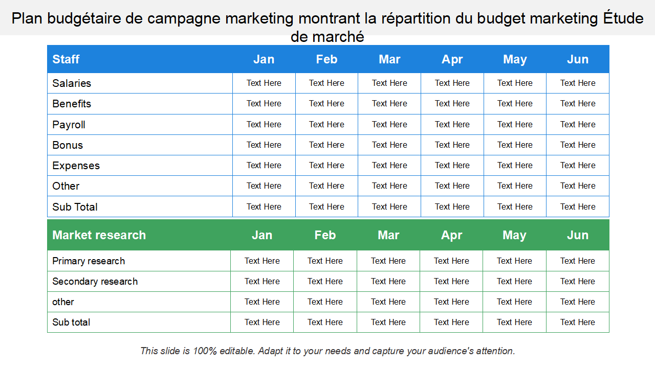 Plan budgetaire de campagne marketing montrant la repartition du budget marketing Etude de marche