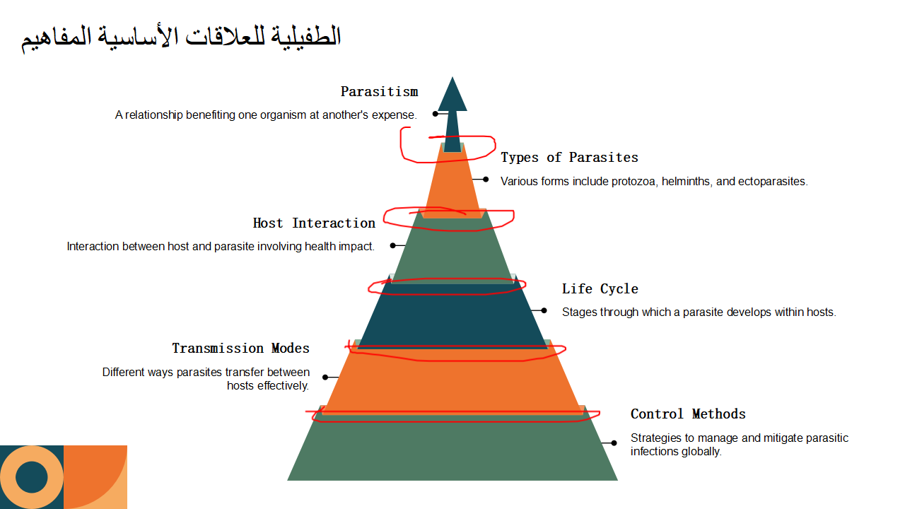 المفاهيم الأساسية للعلاقات الطفيلية