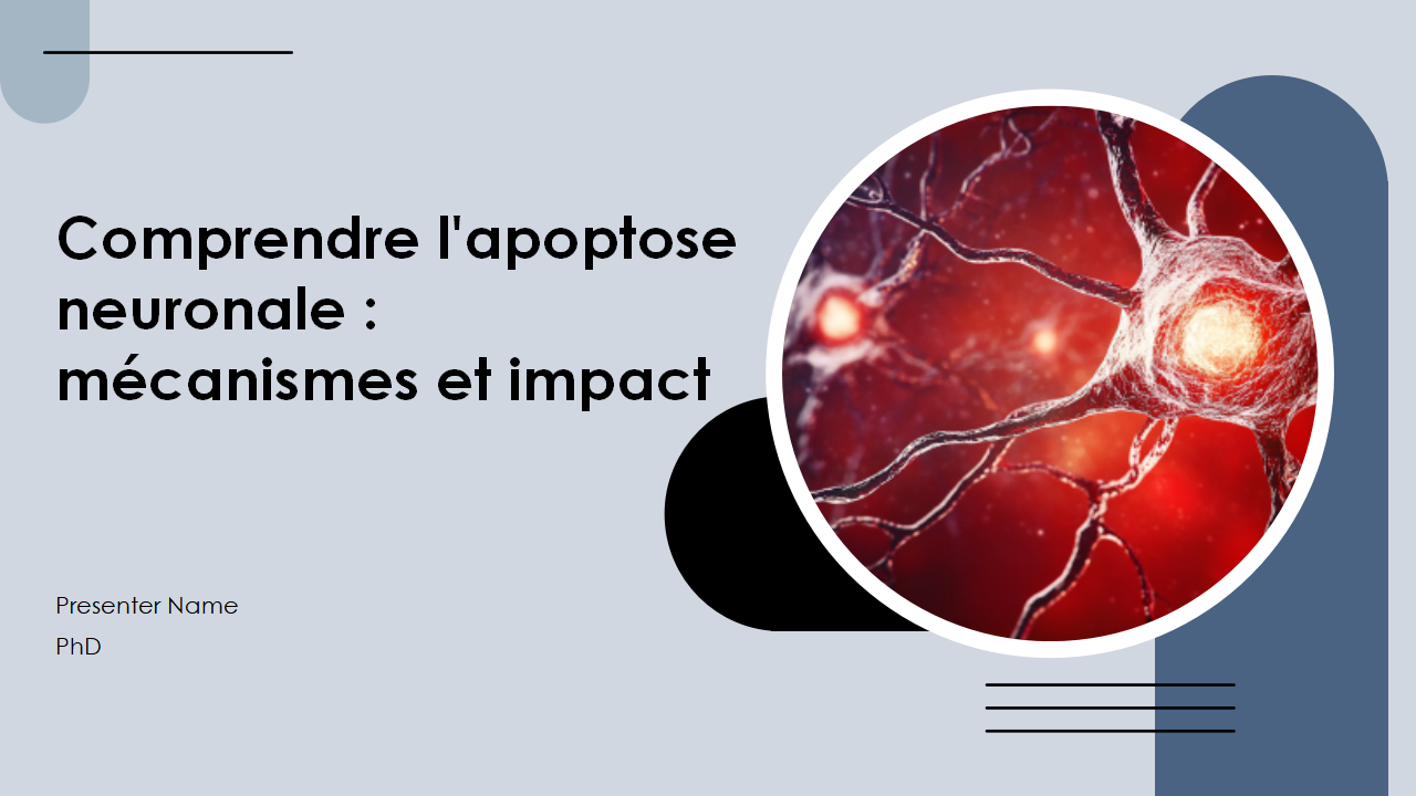 Comprendre lapoptose neuronale mecanismes et impact Comprendre lapoptose neuronale mecanismes et impact