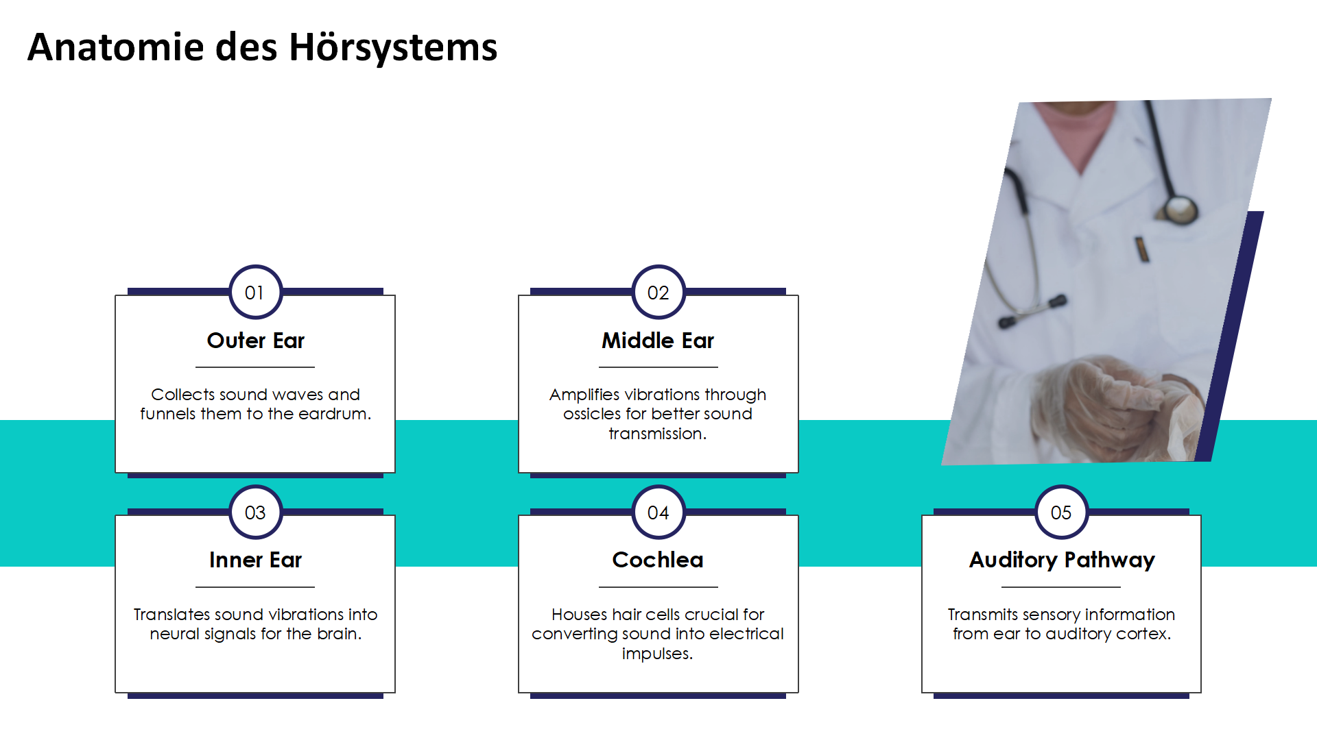 Anatomie des Horsystems
