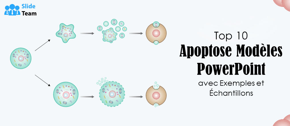 Top 10 des modèles PowerPoint sur l'apoptose avec exemples et exemples