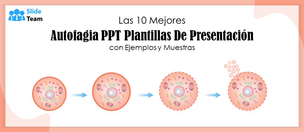 Las 10 mejores plantillas de presentación PPT sobre autofagia con ejemplos y muestras