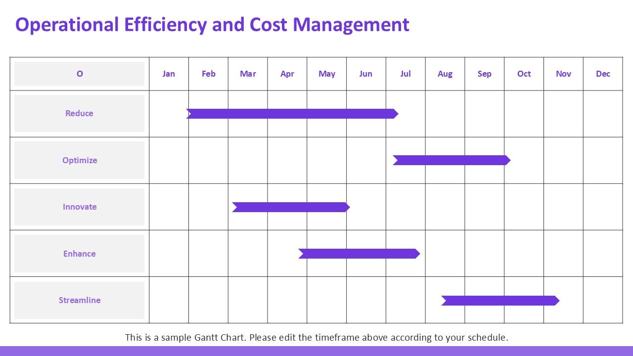 Operational Efficiency & Cost Management