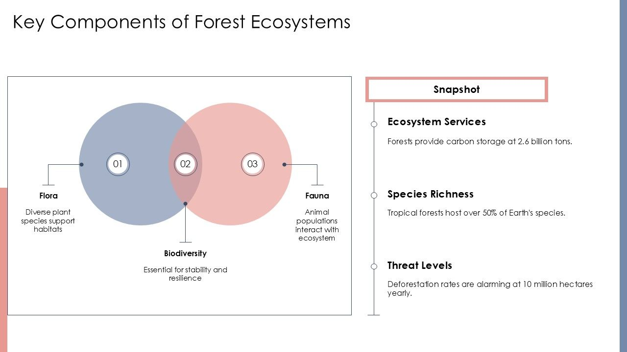 Key Components of Forest Ecosystems PPT Template