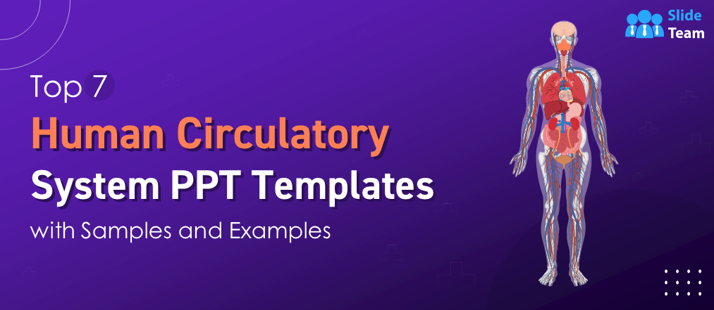 Top 7 Human Circulatory System PPT Templates with Samples and Examples